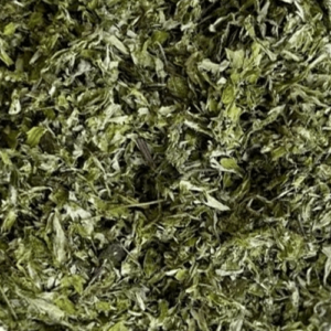 Armoise Feuille Coupée