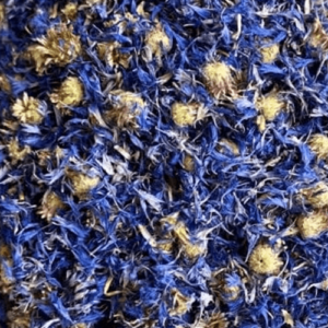 Bleuet Fleur et Calice