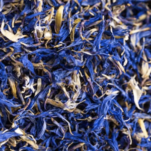 Bleuet Bleu Pétale Super Sélection