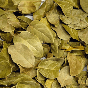 Boldo Feuille Entière
