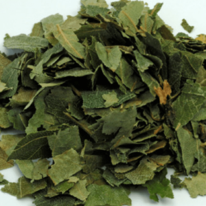 Bouleau Feuille Coupée