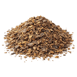 Bourdaine Ecorce Coupée