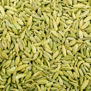 Fenouil Graine Biologique