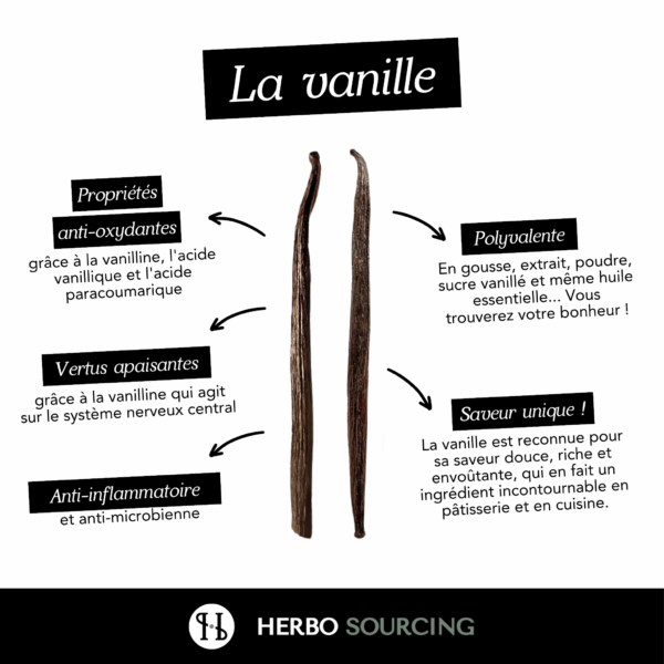 Vanille Madagascar Bourbon Gousse Entière 16 CM – Image 2