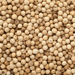Poivre Blanc Grain