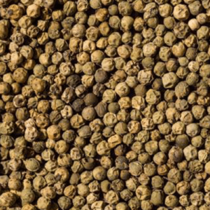 Poivre Vert Grain Déshydraté