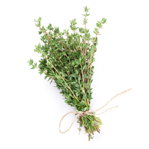 Thym de Provence Feuille
