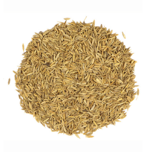 Cumin Graine Entière