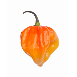 Piment Habanero Entier