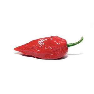 Piment Naga Entier